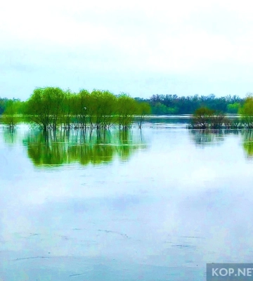 Найвищого рівня води в Дніпрі очікують на вихідні