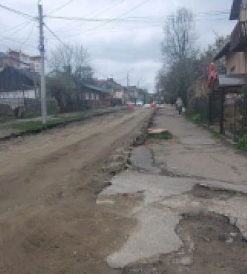 У Чернівцях на Щербанюка зрізали старі дерева