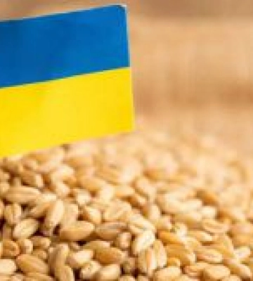 Болгарія тимчасово заборонила ввезення зерна з України