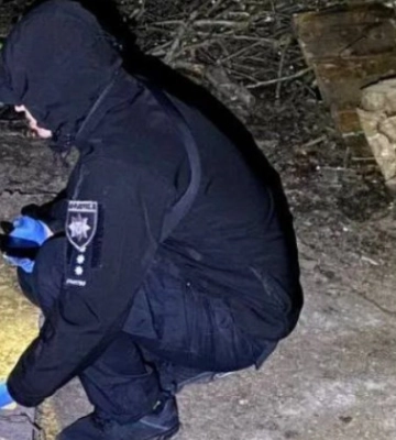 На Київщині чоловік палкою забив до смерті собаку