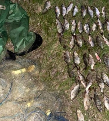 На водоймах Полтавщини впіймали рибалок-браконьєрів — збитки оцінили в понад 300 000