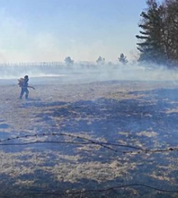 Минулої доби на Львівщині рятувальники ліквідували 12 пожеж сухої трави
