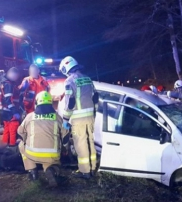 У Польщі машина з нелегалами врізалася у дерево