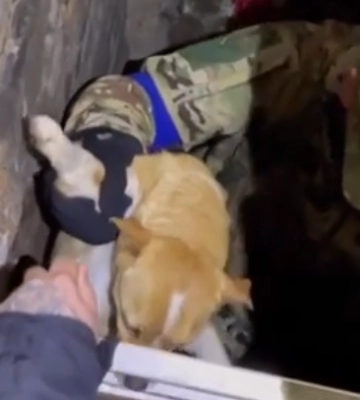 У Херсоні одеські патрульні врятували собаку, - ВІДЕО
