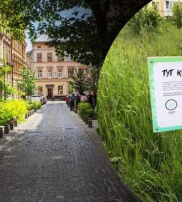 Газони, квіти та міські луки: як правильно озеленити вулиці Львова