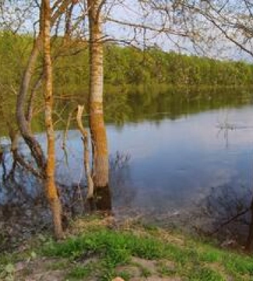 Полтавців у зоні підтоплення просять не пити воду з криниць