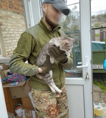 Евакуація тварин з Донеччини та Харківщини: про котиків дбали воїни ЗСУ