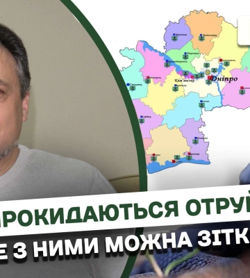 У Дніпрі та області прокидаються змії: які з них небезпечні