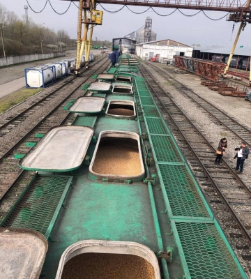 5 вагонів з понад 200 тоннами кукурудзи на мільйон гривень затримали митники на Закарпатті
