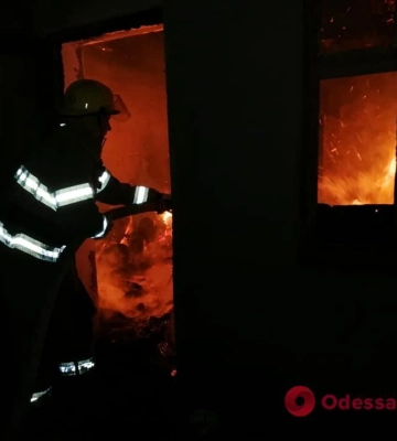 В Одесской области во время пожара спасатели уберегли от уничтожения жилой дом