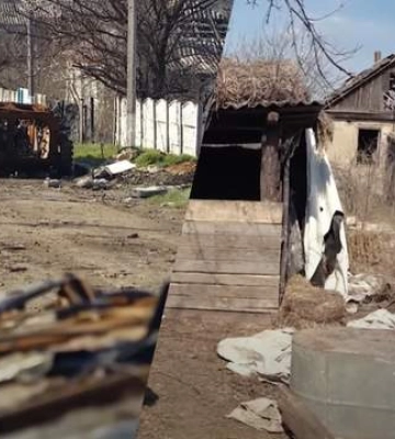 Росіяни масово вбивали і людей, і тварин: Жителі визволеного села Харківщини розповіли про жахіття окупації
