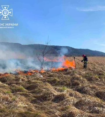 На Львівщини ліквідували ще 5 пожеж сухої трави