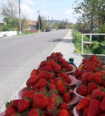 В Закарпатті почали продавати перші полуниці 