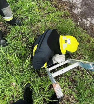На Дніпропетровщині з каналізаційного люку врятували безпритульного собаку