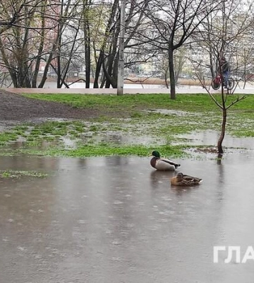 Дощі не вщухають: прогноз погоди на 24 квітня