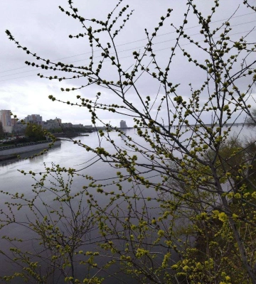 Дощі не припиняються, а градуси змінюються. Яка погода буде у Дніпрі