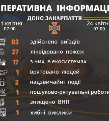 Знищили мінометну міну: рятувальники Закарпаття інформують