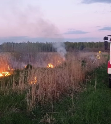 На Сарненщині горіла суха трава, рятувальники просять бути обачними