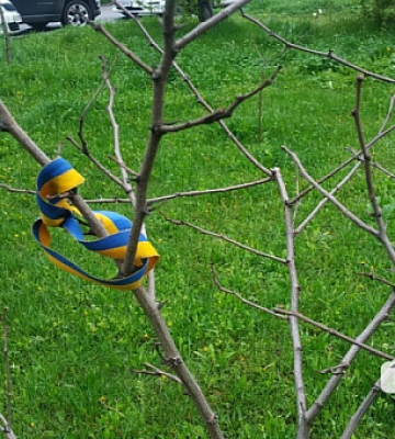 У Кривому Розі 80 тисяч переселенців переважна більшість з них, це мешканці  Херсонщини − Козир