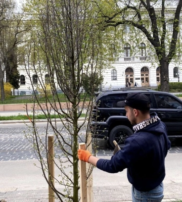 У Львові розпочали озеленення вулиці Степана Бандери, - ФОТО