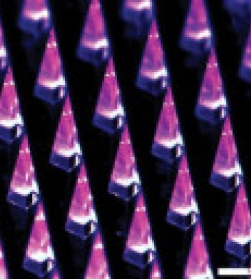 Вчені розробили "принтер для вакцин"
