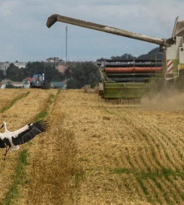Росія звинуватила Україну в атаці на Севастополь - погрожує не продовжити &quot;зернову угоду&quot;