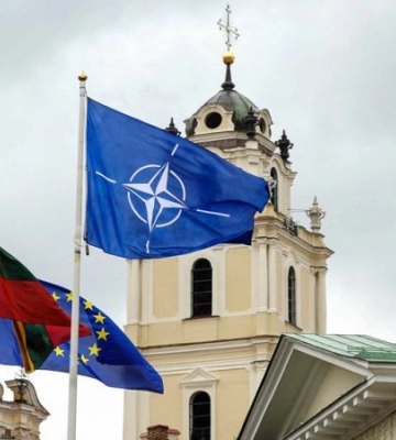 Напередодні Вільнюського саміту НАТО: про що Україна говорить з Альянсом