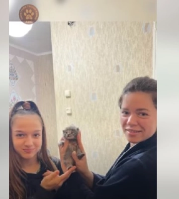 Единственный выживший: в Харькове из запертого подвала спасли котенка (видео)