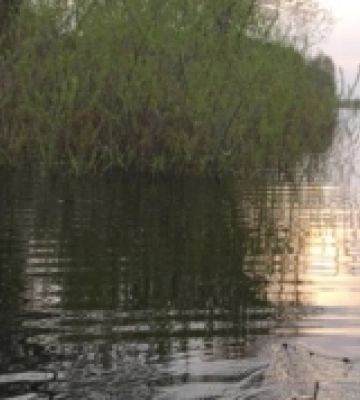 У Самарівській громаді спіймали порушників риболовлі