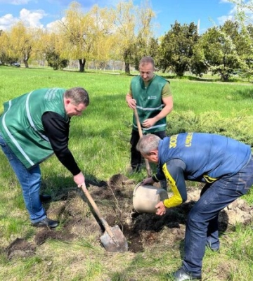 В Каневе почтили память Кобзаря: руководство Госэкоинспекции взорвали Дубы Шевченко