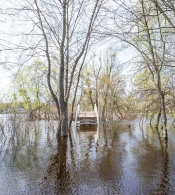 В Киеве снова поднимается вода в Днепре
