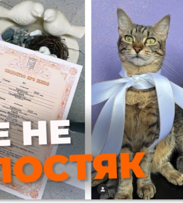 Легендарний кіт Степан одружився