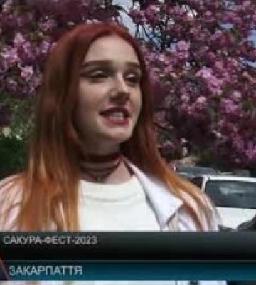 Рожевий цвіт сакур вкотре зібрав тисячі туристів в Ужгороді (відео)