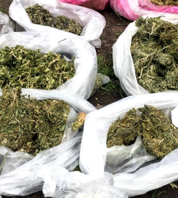 На Рівненщині поліцейські викрили п’яту учасницю злочинної групи наркоторговців
