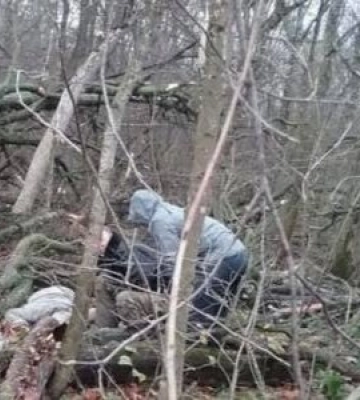 На Міжгірщині вітер звалив дерево: загинув працівник лісгоспу