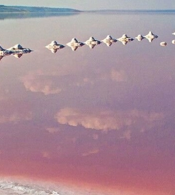 Неймовірна Одеська область: історія найвідомішого лікувального курорту в Україні
