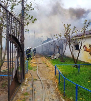 В Одесской области произошел пожар в конюшне 