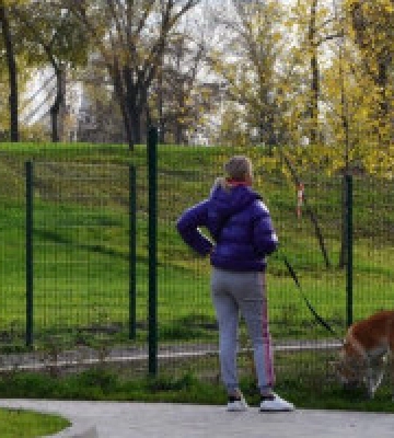 Кияни просять столичну владу облаштувати більше майданчиків для вигулу собак