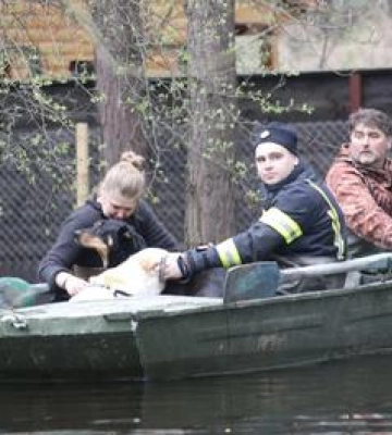 На Полтавщині залишаються підтопленими понад сто домогосподарств