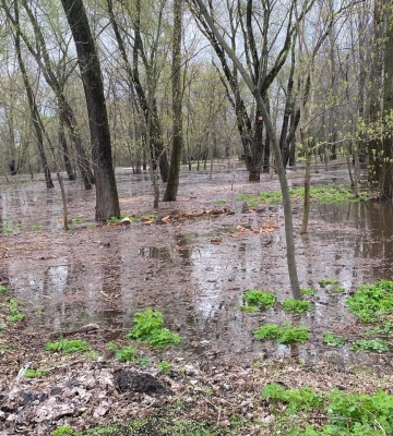 Вода відступає. В Укргідрометцентрі не очікують масштабного затоплення Києва