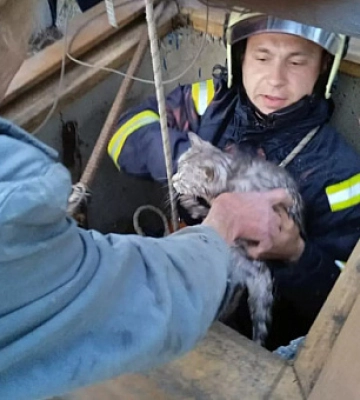 У Кам’янському на Дніпропетровщині рятувальники дістали кота з колодязя