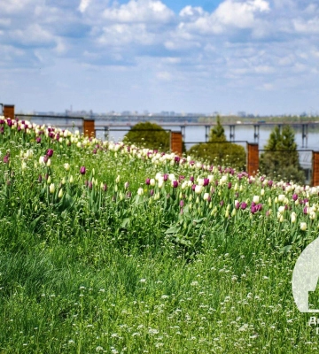 Комунальні служби працюють цілодобово. Ситуація в Дніпрі на 6 ранку