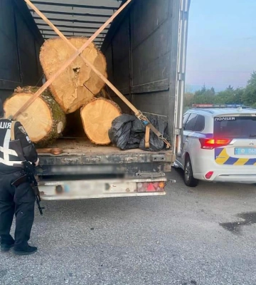 На Закарпатті затримали вантажівку з нелегальною деревиною