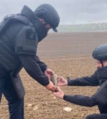 На Дубенщині сапери ДСНС знищили дві мінометні міни часів Другої світової війни