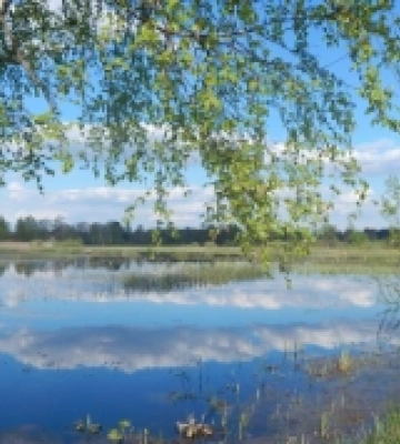Весна в мальовничій долині річки Стохід