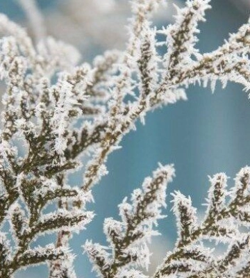 Помаранчевий рівень небезпеки: прогноз погоди на завтра для Львівщини тривожний