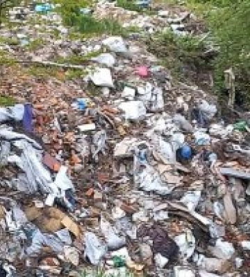 Стихійні сміттєзвалища заполонили Закарпаття