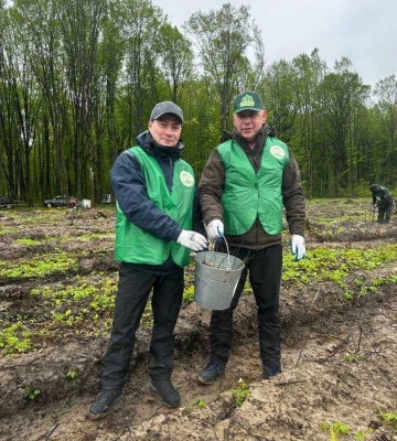 Показали, як Карауш з Кучеруком дуби та ялинки на Костопільщині садили