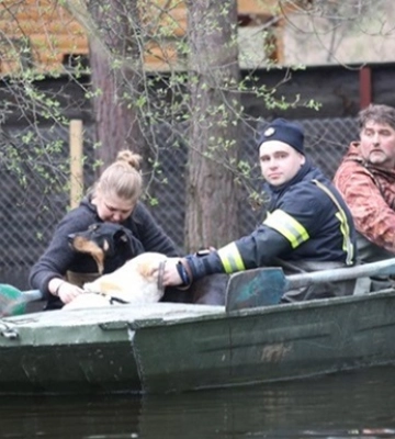 ГСЧС сообщила о спаде половодья на Днепре