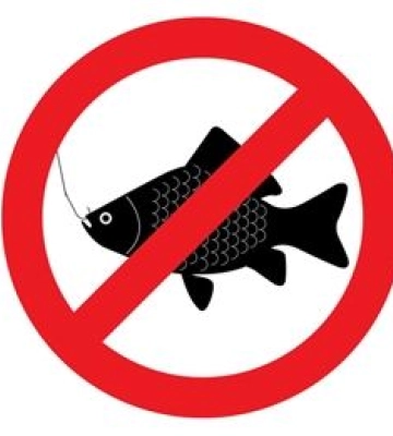 Рибалки тимчасово не зможуть ловити рибу на деяких водоймах Миколаївської області